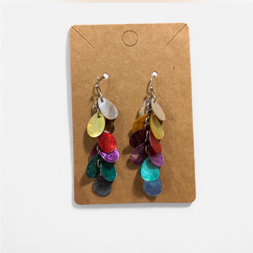 Multicolor Dangle Earrings